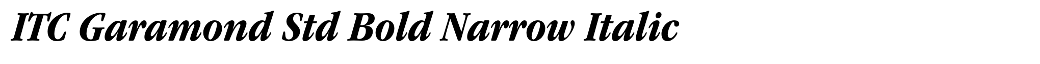 ITC Garamond Std Bold Narrow Italic image
